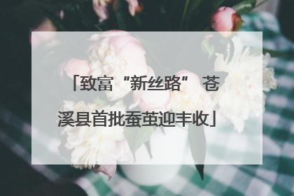 致富“新丝路” 苍溪县首批蚕茧迎丰收