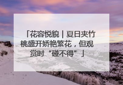 花容悦貌｜夏日夹竹桃盛开娇艳繁花，但观赏时“碰不得”