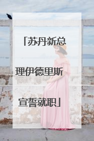 苏丹新总理伊德里斯宣誓就职