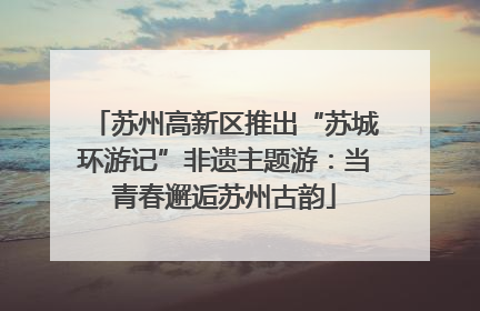 苏州高新区推出“苏城环游记”非遗主题游：当青春邂逅苏州古韵