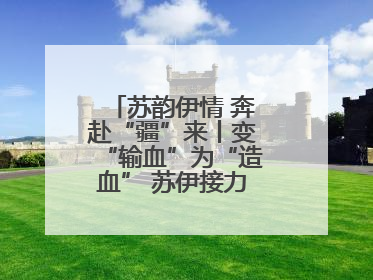 苏韵伊情 奔赴“疆”来丨变“输血”为“造血” 苏伊接力守护“心”生