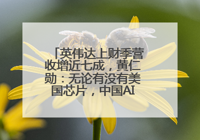 英伟达上财季营收增近七成，黄仁勋：无论有没有美国芯片，中国AI行业将继续前进