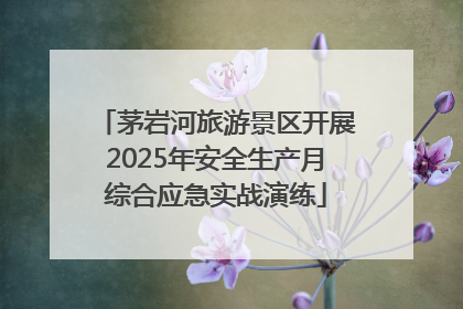 茅岩河旅游景区开展2025年安全生产月综合应急实战演练