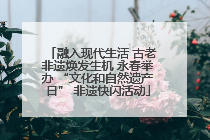 融入现代生活 古老非遗焕发生机 永春举办 “文化和自然遗产日” 非遗快闪活动