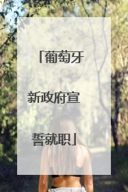 葡萄牙新政府宣誓就职