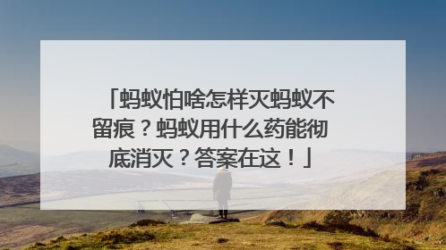 蚂蚁怕啥怎样灭蚂蚁不留痕？蚂蚁用什么药能彻底消灭？答案在这！