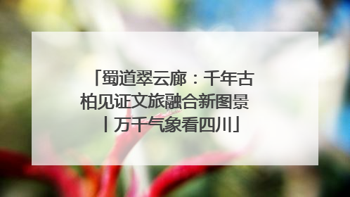 蜀道翠云廊：千年古柏见证文旅融合新图景丨万千气象看四川