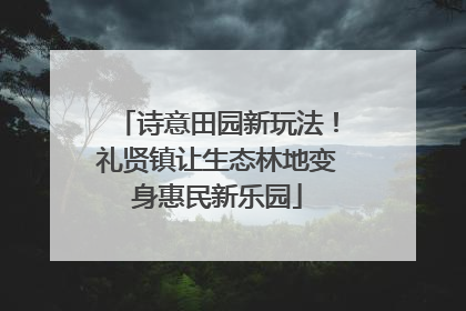 诗意田园新玩法！礼贤镇让生态林地变身惠民新乐园
