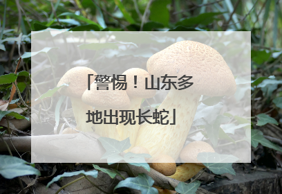 警惕！山东多地出现长蛇