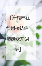 许昆林在徐州接待信访群众并调研
