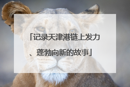 记录天津港链上发力、蓬勃向新的故事