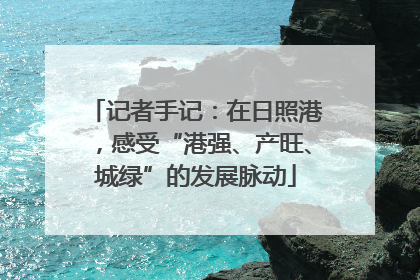 记者手记：在日照港，感受“港强、产旺、城绿”的发展脉动