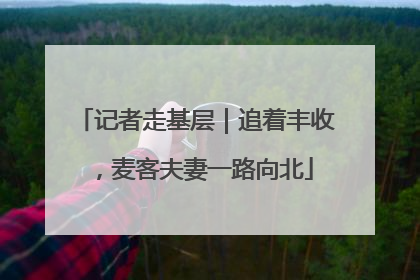 记者走基层｜追着丰收，麦客夫妻一路向北