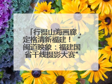 行摄山海画廊，定格清新福建！“闽道映象：福建国省干线摄影大赛”火热开启！