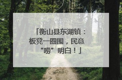 衡山县东湖镇：板凳一圈围，民意“唠”明白！