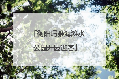 衡阳玛雅海滩水公园开园迎客