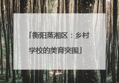 衡阳蒸湘区：乡村学校的美育突围