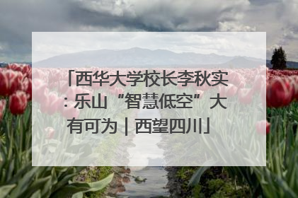 西华大学校长李秋实：乐山“智慧低空”大有可为｜西望四川