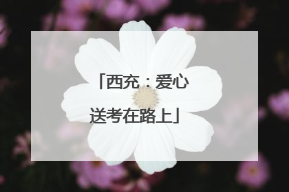 西充：爱心送考在路上