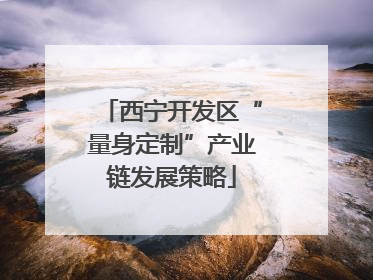 西宁开发区“量身定制”产业链发展策略