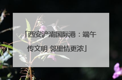 西安浐灞国际港：端午传文明 邻里情更浓