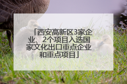 西安高新区3家企业、2个项目入选国家文化出口重点企业和重点项目