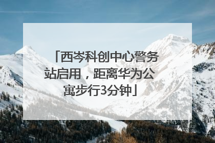 西岑科创中心警务站启用，距离华为公寓步行3分钟