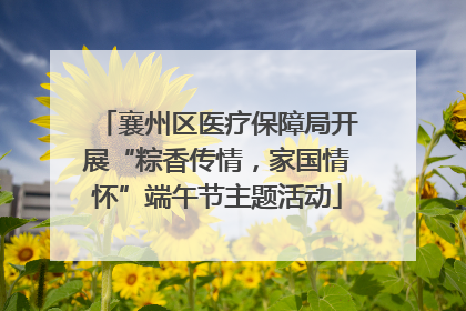 襄州区医疗保障局开展“粽香传情，家国情怀”端午节主题活动