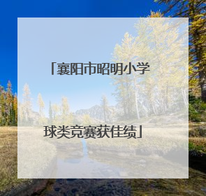 襄阳市昭明小学球类竞赛获佳绩