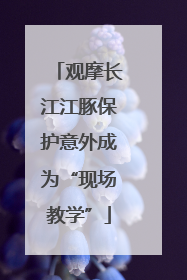 观摩长江江豚保护意外成为“现场教学”