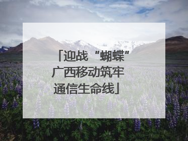 迎战“蝴蝶” 广西移动筑牢通信生命线