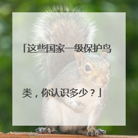 这些国家一级保护鸟类，你认识多少？