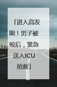 进入高发期！男子被咬后，紧急送入ICU抢救