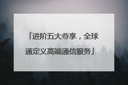 进阶五大尊享，全球通定义高端通信服务