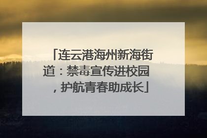 连云港海州新海街道：禁毒宣传进校园，护航青春助成长