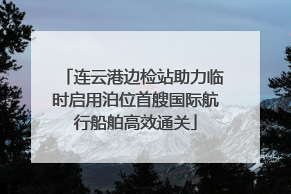 连云港边检站助力临时启用泊位首艘国际航行船舶高效通关