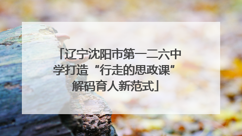 辽宁沈阳市第一二六中学打造“行走的思政课” 解码育人新范式
