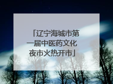 辽宁海城市第一届中医药文化夜市火热开市