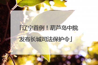 辽宁首例！葫芦岛中院发布长城司法保护令