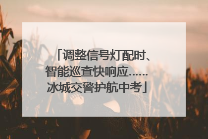 调整信号灯配时、智能巡查快响应……冰城交警护航中考
