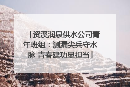 资溪润泉供水公司青年班组：测漏尖兵守水脉 青春建功显担当