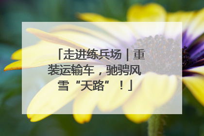走进练兵场｜重装运输车，驰骋风雪“天路”！