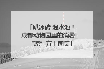 趴冰砖 泡水池！成都动物园里的消暑“凉”方丨图集