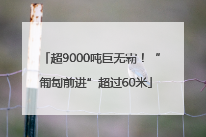 超9000吨巨无霸！“匍匐前进”超过60米