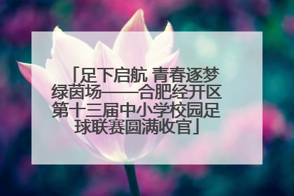 足下启航 青春逐梦绿茵场——合肥经开区第十三届中小学校园足球联赛圆满收官