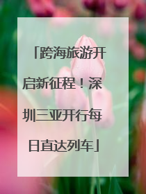 跨海旅游开启新征程！深圳三亚开行每日直达列车