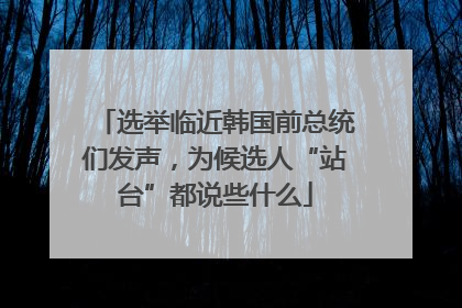 选举临近韩国前总统们发声，为候选人“站台”都说些什么