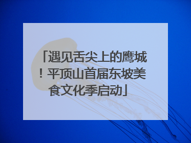 遇见舌尖上的鹰城！平顶山首届东坡美食文化季启动