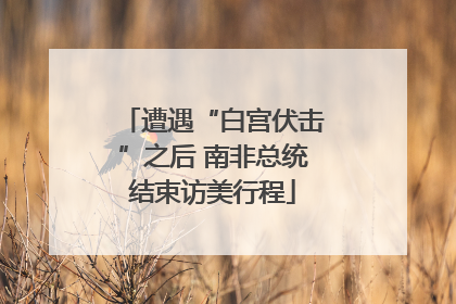 遭遇“白宫伏击”之后 南非总统结束访美行程