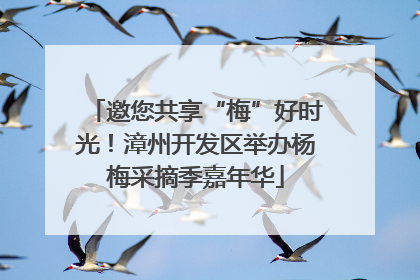 邀您共享“梅”好时光！漳州开发区举办杨梅采摘季嘉年华
